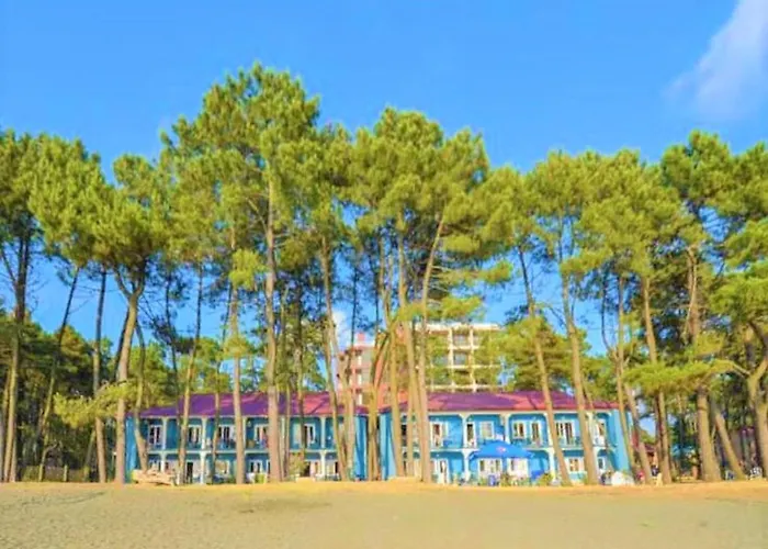 Evrika Hotel Shekvetili