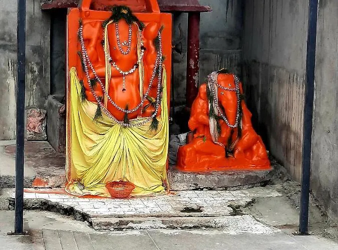 Anand Kanan Varanasi