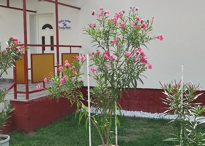 Rakos-Patak Family House Garden & Free Parking Hotel Budapest
