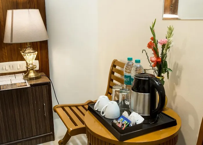 Hotel Earth Delhi 