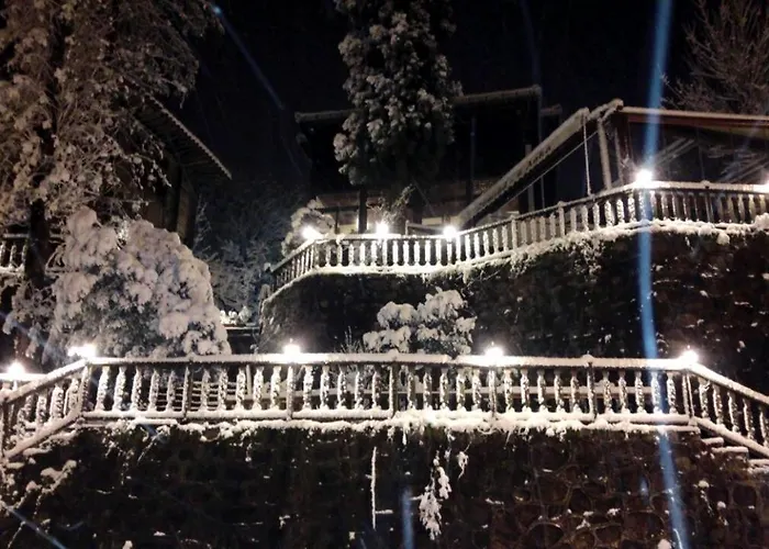 Zümrüdüanka Otel Rize