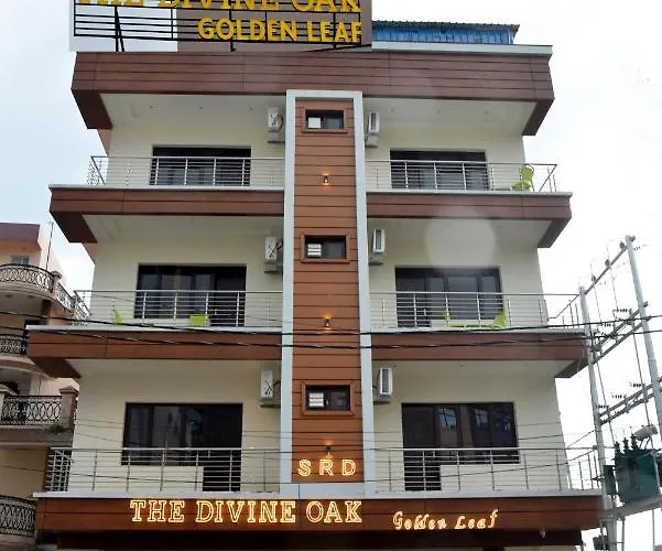 The Divine Oak Golden Leaf Hotel Katra 