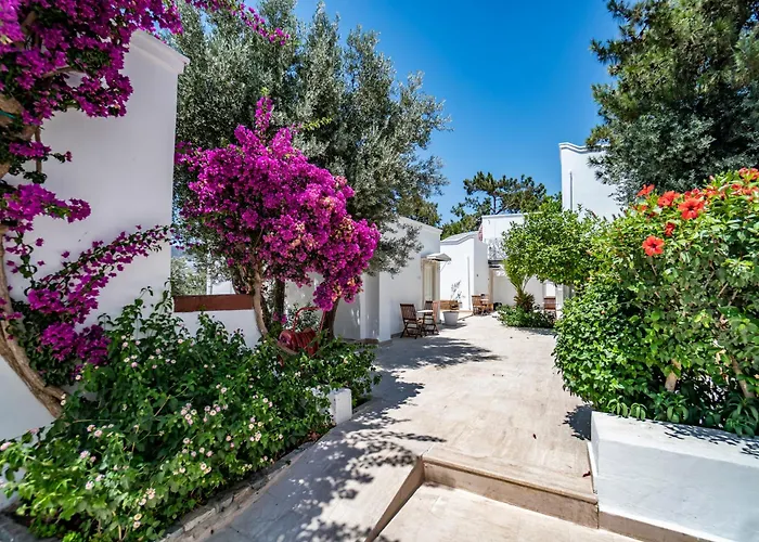 Manzara Boutique Hotel - Adults Only Bodrum