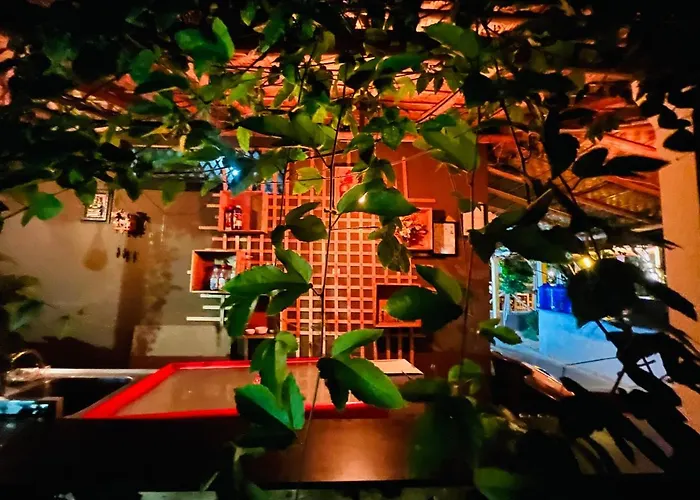 Spykee Spot Hampi Hotel
