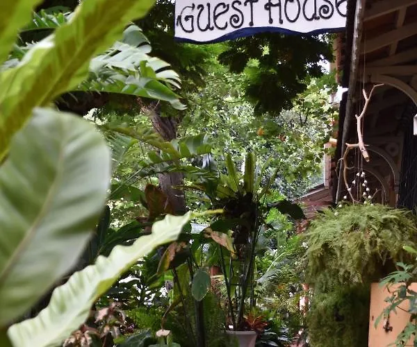 Afonso Guest House - Fontainhas Panaji