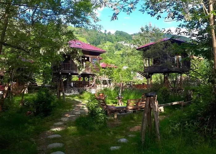 Zeni De Vore Serender & House Rize