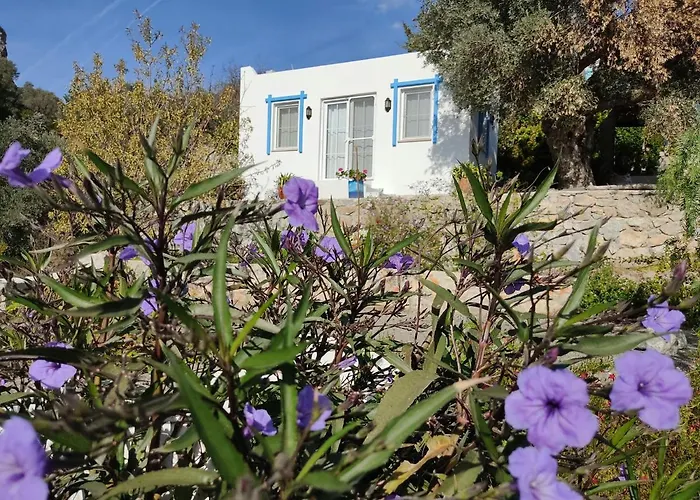 Mavi Kelebek Datça