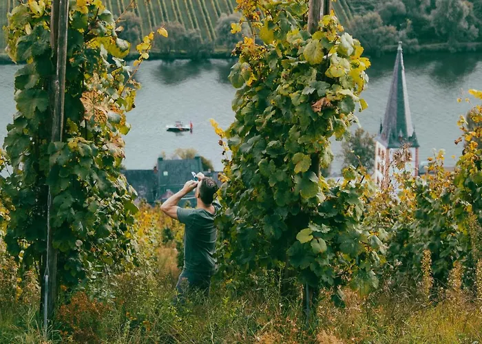 Boutique Guesthouse Das WOHLGEMUTH HEIM Mosel Weingut Zell