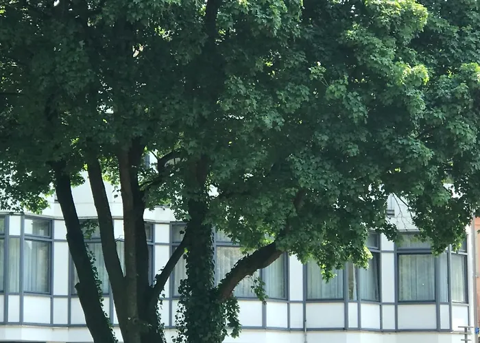 Gaestezimmer Klein Und Fein Fuer Nach Dem Wein Neumagen-Dhron