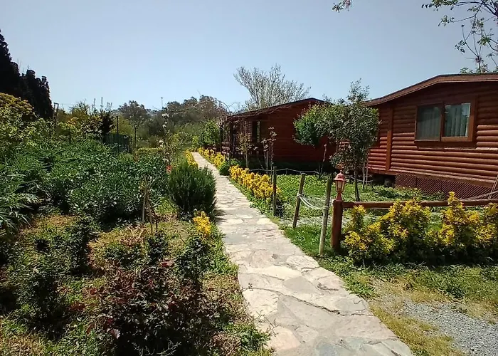 Defnewoodhome Bodrum