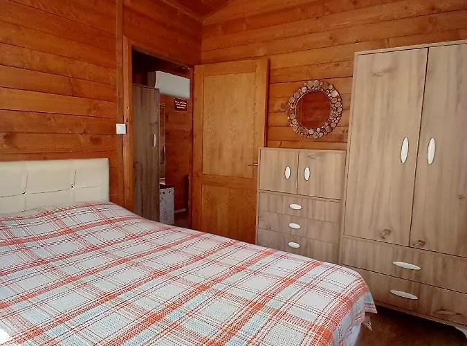 Defnewoodhome Bodrum