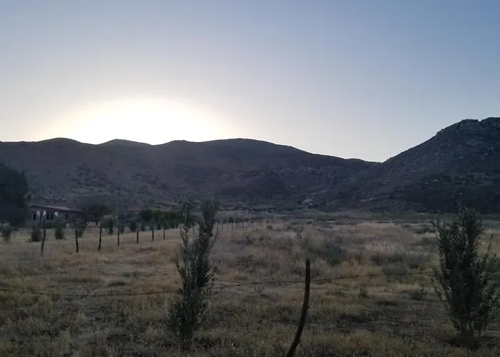 Cabañas Los Laureles ruta del vino Ensenada