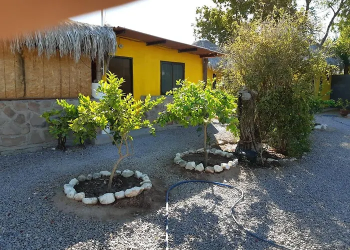 Hotel La Regional Loreto 