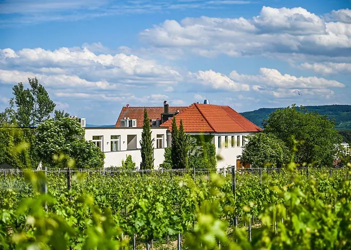 Hotel Wirtshaus Leindl Krems an der Donau