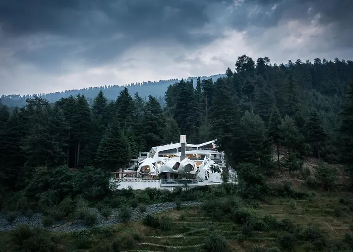 Tree Of Life Eila Art Hotel, Manali Nagar 