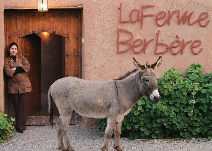 Bed and Breakfast La Ferme Berbere (Adults Only) à Marrakesh