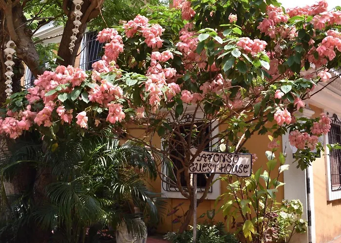 Afonso Guest House - Fontainhas Panaji