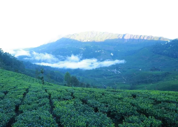 The Nirvana Resort Munnar