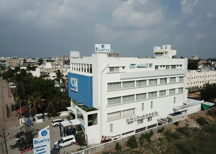 Hotel Blueivy Anand