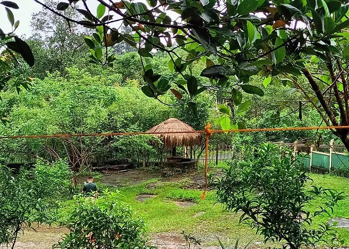 Stream Side Guest House Mawlynnong