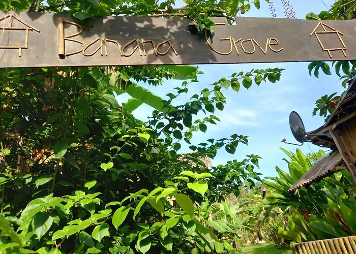 Banana Grove El Nido Hotel