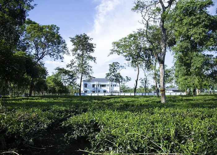 Ramsai Tea & Wildlife Resort Lataguri