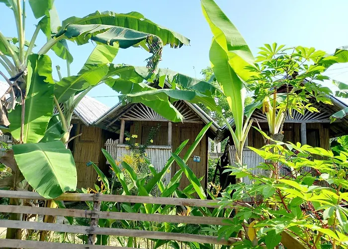 Banana Grove El Nido Hotel