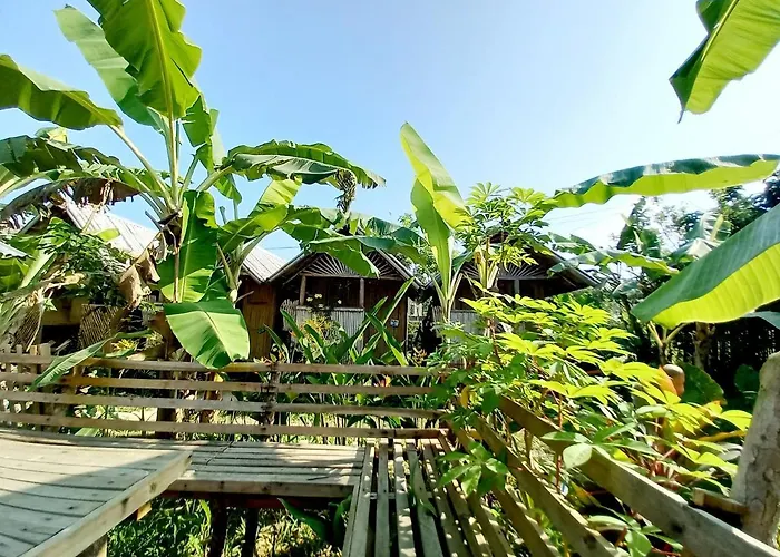 Banana Grove El Nido Hotel