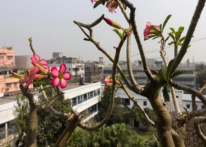 Neelam Bed & Breakfast Kolkata