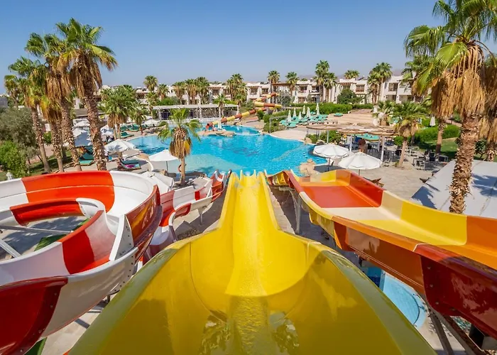Amphoras Aqua Adults Friendly Sharm-el-Sheikh