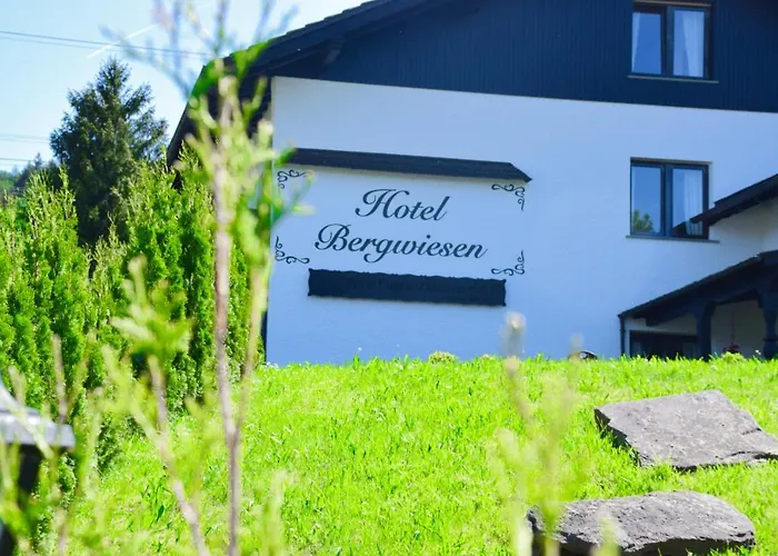 Hotel Bergwiesen - Zimmer mit Balkon oder Terasse Lohr