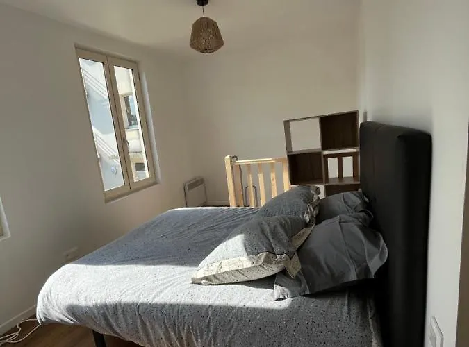 Aparthotel Le Nid Du Cygne à Le Blanc