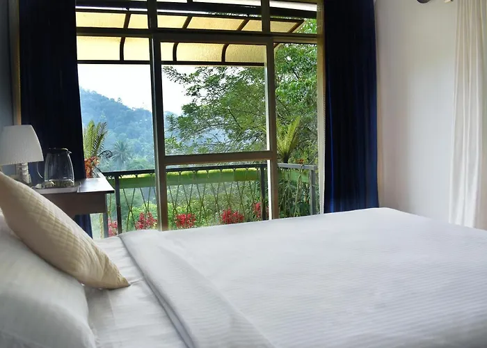 Raymond'S Holiday Homes Vythiri