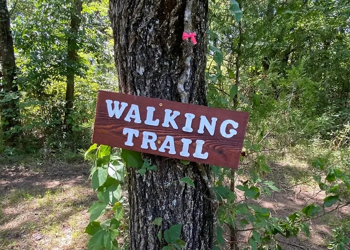 The Woods Lodging Kingston