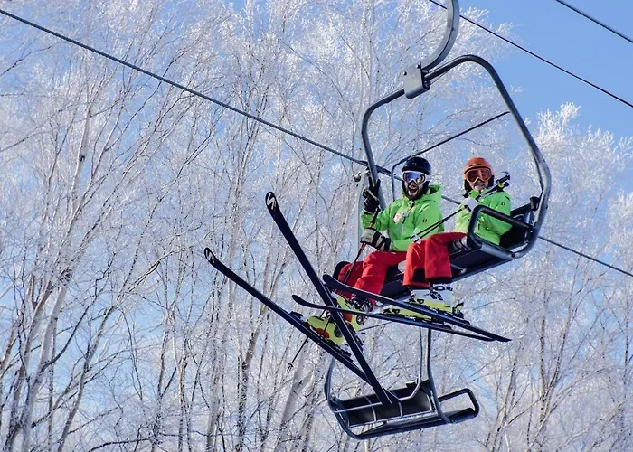 Shiga Kogen Olympic Hotel Yamanouchi 