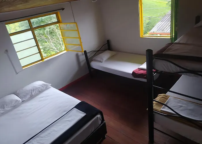 Palma de Cera Hostal Salento