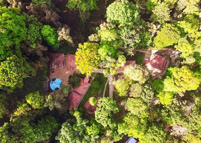 Qexperiences Coorg Hotel Madikeri