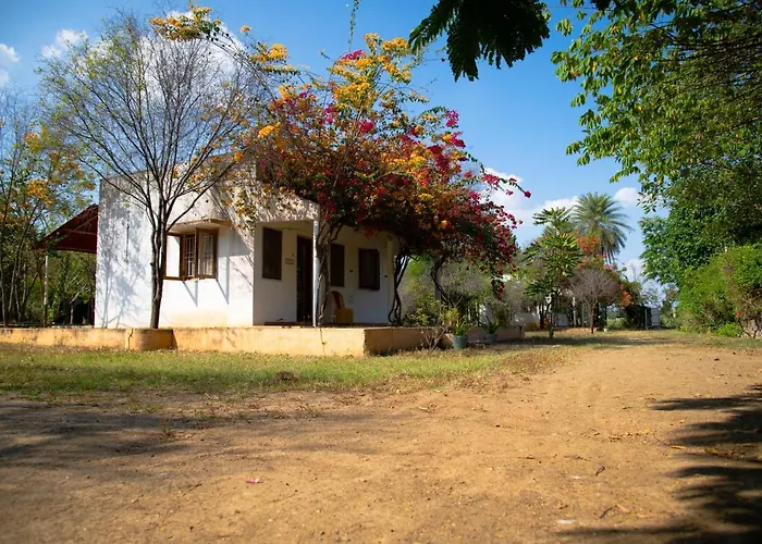 The Mountain Retreat Hotel Tiruvannamalai