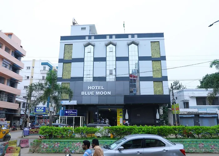 Hotel Blue Moon Nellore