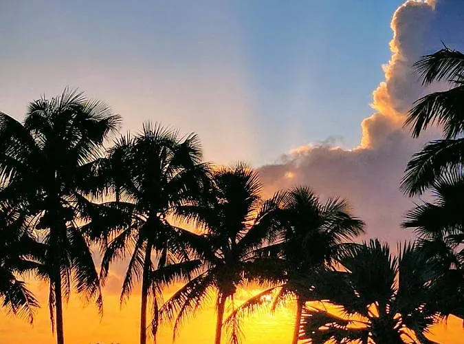 Sherry Frontenac Oceanfront Miami Beach