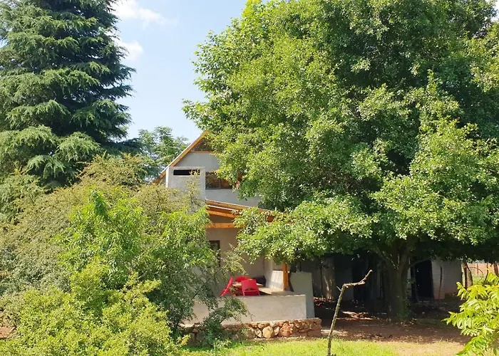 Little Forest Farm Magaliesburg