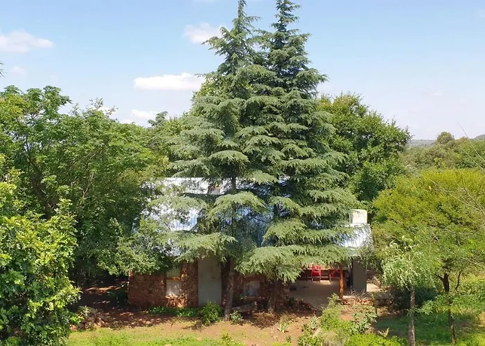 Little Forest Farm Magaliesburg