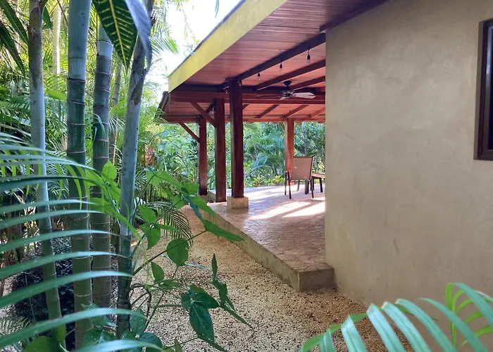 Lodge Margouillat Tambor 