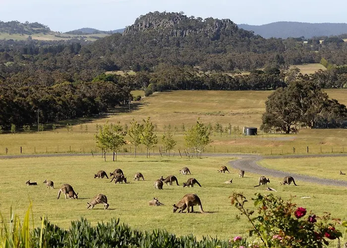 Hanging Rock Views Woodend