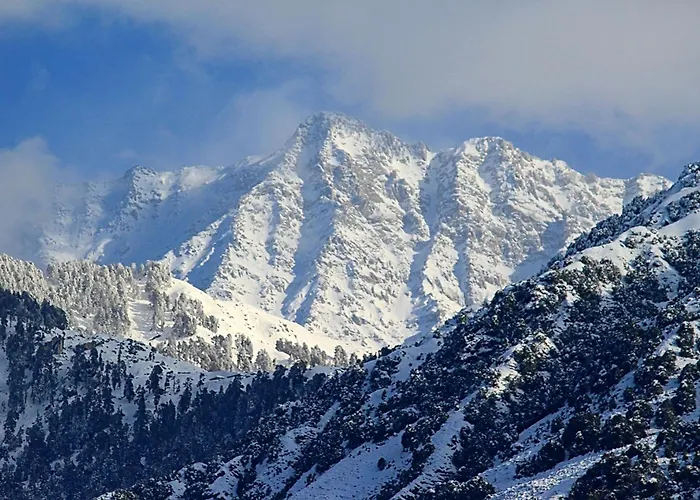 Hotel Bliss Valley - Hotel In Dharamshala
