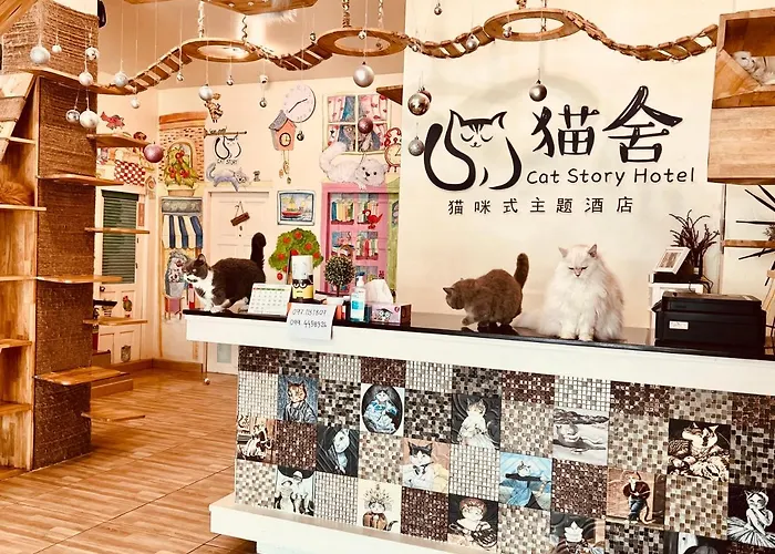 Cat Story Hotel Patong