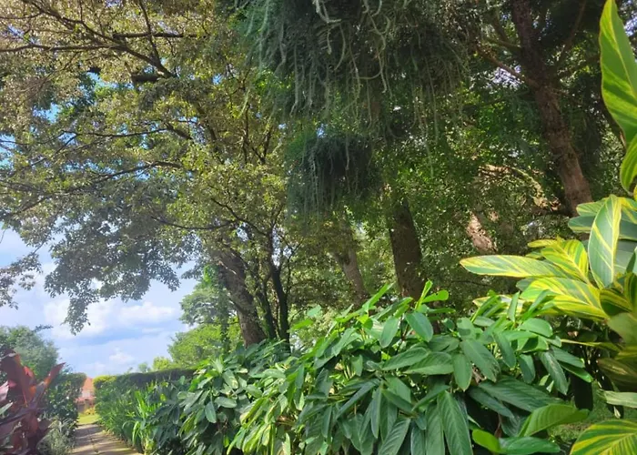 Acholi Inn Gulu