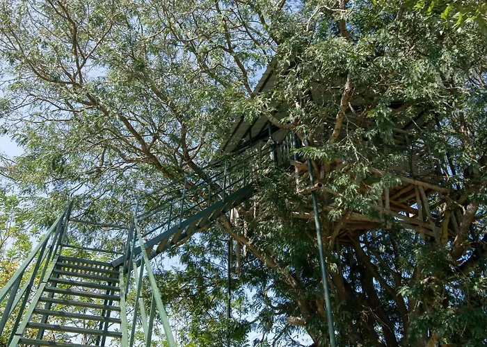 Bamboo Banks Farm & Guest House Masinagudi