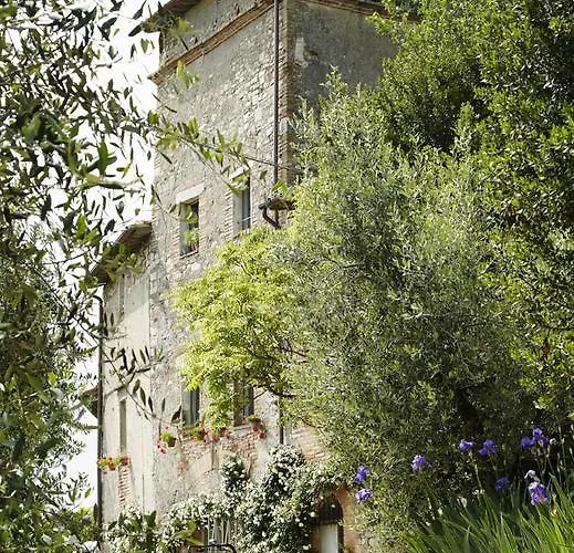 Il Ghiottone Umbro Bed & Breakfast Todi
