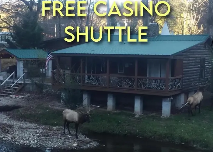 Qualla Cabins And Motel Cherokee Near Casino Whittier